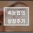 탑뷰티아카데미미용학원 이미지