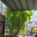 85번 과일가게 이미지