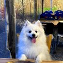 일산골프클럽 이미지