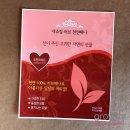 러브헤나