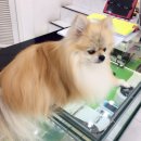 미르텔레콤 이미지
