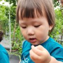 윤재농장 이미지