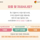 1393 이미지