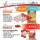 그레이스피엠