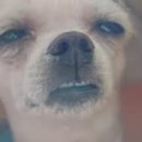 모현보건지소 이미지