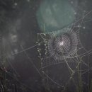 지사우체국 이미지