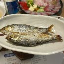 대구 동성로 횟집 추천 대방어 맛집 잘떳다 산오징어 삼덕점 후기