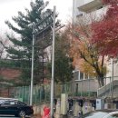 매화마을2단지 테니스장
