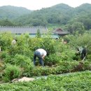 종천농장 이미지