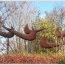 새싹나라유치원 이미지