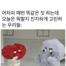 오늘은;샤브데이
