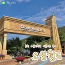 비발디렌통령 | [강원도/홍천] 미들시즌 후기 | 할인 팁, 먹거리 #비발디파크 오션월드