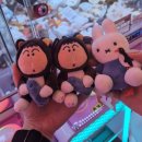 슈니네옷~짱