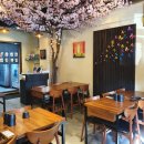 미스터스시강 이미지