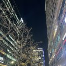 스포짐휘트니스 | [종각 헬스장] spogym 스포짐 휘트니스 종각점 헬스,PT상담,이틀이용후기(💪🏻본식 체지방 관리 추천...