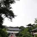 광교의 예비 시민문화공원, 봉녕사를 찾아서