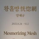 국제갤러리 양혜규 개인전 <황홀망 恍惚網>