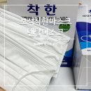 화이트덴탈 | 귀편한 일회용마스크 추천 대형 덴탈 마스크 보석착한마스크