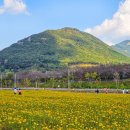 황산공원 파크골프장 이미지