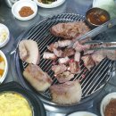 제주박 이미지