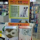 번동약국 이미지