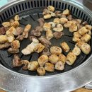 동아위생재료 이미지