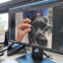 다랑동물병원 이미지