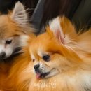 국립축산과학원 동물병원 이미지