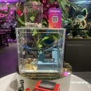 호텔네이처 부산신항점 | 해운대 센텀대관카페 어반네이처주류 대관 게코분양 후기