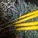 한교농장 이미지