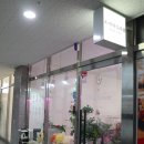 다산꽃집 조이아플라워 집들이 선물로 좋을 화분이 다양해요