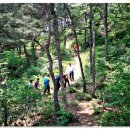 이월초등학교 이미지