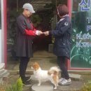 키움꽃조경