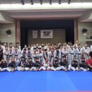 용인대 태풍태권도 이미지