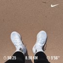 나이키 러닝 애프터 다크 투어 서울 마라톤 10km 후기
