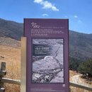 황금사슴농장 이미지