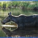 이노셀러 이미지