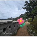 서울 한양도성(서울성곽) | 서울한양도성 성곽투어 세번째 도전 인왕산에 오르다