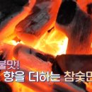 고기 백화점 이미지