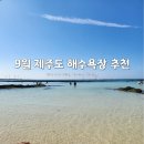 예래동 하예동무료주차장 | [제주도] 9월 제주도 바다 수영 가능 해수욕장 5곳 + 돌고래 스팟 방문 후기