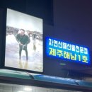 제주시 공항 근처 탑동 맛집 ‘일통이반’ 성게(냉동)+왕보말죽/문어숙회/소라회까지 해물 한 상