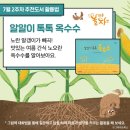 자연톡톡 이미지