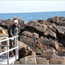 바다부채길1 이미지