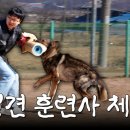 강화애견훈련학교 이미지