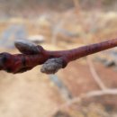 내리농장 이미지