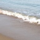 각종 문화행사 이미지