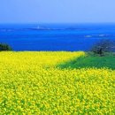 커피 향기[香氣]를 음미하면서 이미지