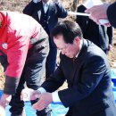 동훈 태양광발전소 이미지