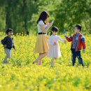 서울특별시중부공원여가센터 이미지