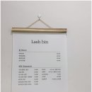 래쉬빈 이미지